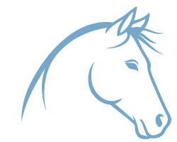 Equilodium – Im Rhythmus des Pferdes
